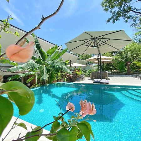 Natura Loft Garden Playa Santa Teresa  Kültér fotó